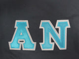 Alpha Nu Comfort Colors Black T-Shirt with Teal on Silver Zigzag Sewn Twill Letters