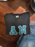 Alpha Nu Comfort Colors Black T-Shirt with Teal on Silver Zigzag Sewn Twill Letters