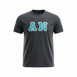 Alpha Nu Comfort Colors Black T-Shirt with Teal on Silver Zigzag Sewn Twill Letters